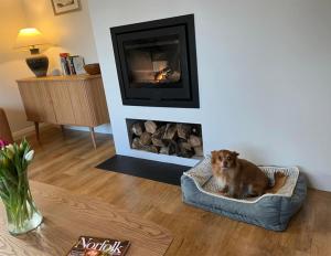 Κατοικίδιο ή κατοικίδια επισκεπτών που μένουν στο K Suites - Malt House