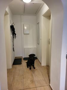 Et eller flere kæledyr der bor med gæster på Lanckensburg Fewo1 - Doris