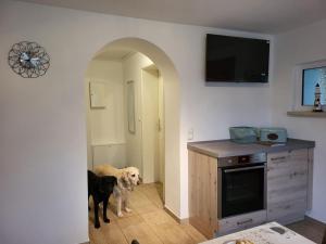 Et tv og/eller underholdning på Lanckensburg Fewo1 - Doris + 10 billeder