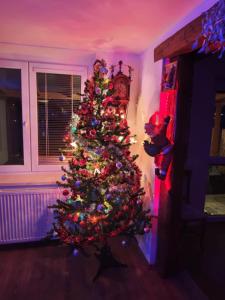 Fotografie z fotogalerie ubytování Vila u Pekla v Polné