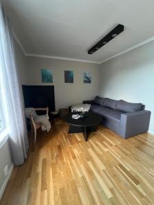 Posezení v ubytování Eidfjord Fjell