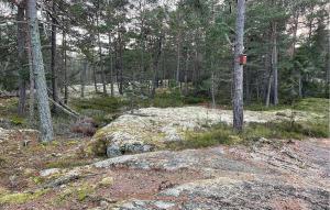 1 Bedroom Stunning Home In Blidö في Lagervik: غابة بها بعض الأشجار وصخرة كبيرة