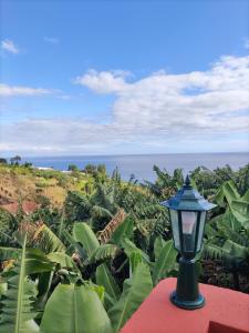 a street light sitting on top of a banana field at Vitoria's Vale in Funchal