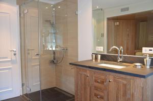 a bathroom with a shower with a sink and a sink at LITZKOW 15005 in Morsum