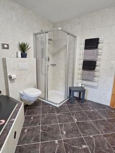 a bathroom with a shower and a toilet at Apart Simple Living in Zell am Ziller