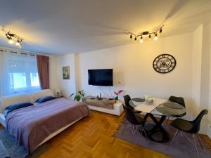 Μια τηλεόραση ή/και κέντρο ψυχαγωγίας στο Belgrade Apartment 2