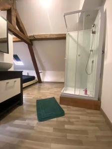 a bathroom with a shower and a green mat on the floor at ღ Le Nid Douai - T2 Proche Centre Ville & Gare in Douai +17 photos