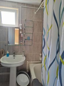 a bathroom with a sink and a toilet and a tub at std- Na lepom plavom Dunavu in Kladušnica +33 photos