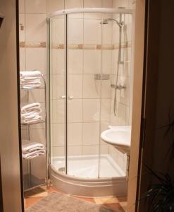 a bathroom with a shower and a sink at Pizzeria Prosser - Appartements in Dienten am Hochkönig