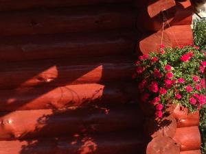 Φωτογραφία από το άλμπουμ του Norieši σε Vangaži