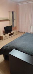 Μια τηλεόραση ή/και κέντρο ψυχαγωγίας στο Апартаменти ЖК Тріумф,ЖД ВОКЗАЛ, ОБЛАСНА ЛІКАРНЯ,