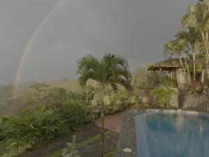 a pool with a palm tree next to a house at Pie In The Sky 2 Luxury Home With Amazing Views! in El Fosforo