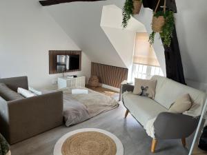 a living room with two couches and a tv at Centre Nemours - Climatisation - Cosy Deluxe in Nemours