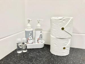 Southern Blue Agulhas في أقولاس: حمام به زجاجتين من الصابون ولفافة من ورق التواليت