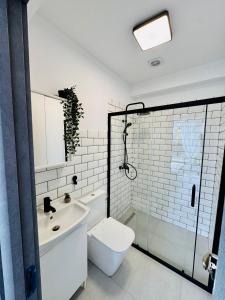 a bathroom with a toilet and a sink and a shower at Popoveni Garden Vila in Craiova