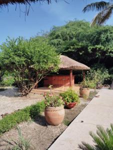 Κήπος έξω από το Villa Nianing