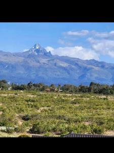 a mountain in the middle of a field at Studio in Nanyuki with Mount Kenya Views in Nanyuki