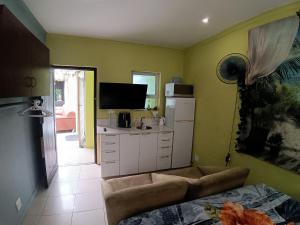 a living room with a couch and a television at Gaia Hydro-Spa and Guest House in Cape Town +26 photos