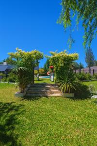 a stairway in a park with palm trees and grass at Complejo STC SomoS in Colón +5 photos
