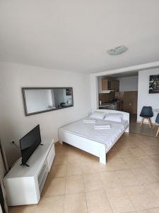 Villa Contact في دوبرا فودا: غرفة نوم بيضاء فيها سرير وتلفزيون