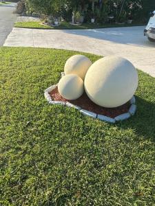 Κήπος έξω από το Miramar's Studio