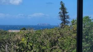 a tree on a hill with a view of the ocean at Guernsey Home in Port Shepstone