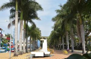 uma fileira de palmeiras em uma praia com uma fonte em Krushnai Resort em Kharakvasla