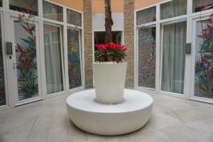 Fotografie z fotogalerie ubytování Hotel Vespasiano v Římě