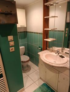 a bathroom with a sink and a toilet at chalet à la campagne in Vielle-Soubiran