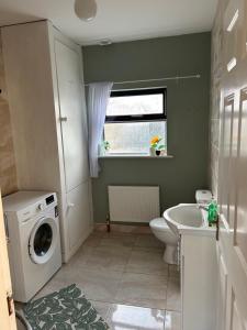 a bathroom with a washing machine and a sink at Ciaran's cottage in Donore
