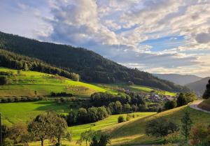 Ferienwohnung Sommerseite في سيباتش: وادي أخضر مع الأشجار على تلة مع طريق