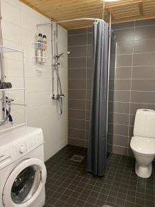 Ένα μπάνιο στο Yksiö Mimosa +7 φωτογραφίες