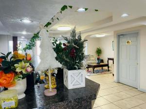 Khu vực sảnh/lễ tân tại Travelodge by Wyndham Sellersburg +137 ảnh