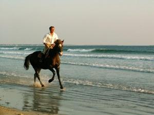 Ιππασία σε αυτή η βίλα ή εκεί κοντά