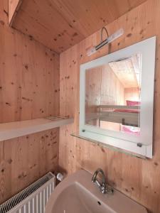a bathroom with a sink and a mirror at Berggasthaus Auerhahn - Ski In- Ski Out- in Feldberg