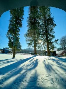 a snow covered road with two trees in the distance at Rest & Relax Doubice in Doubice