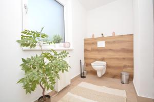 Un baño con inodoro y puerta de madera. en CO11 - Ferienwohnung in Coburg, en Coburg