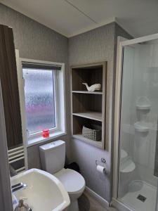 a bathroom with a toilet and a sink and a window at JJs Lodge Jorvik in Allerthorpe +26 photos