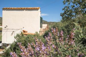 En generel udsigt til bjerge eller udsigt til bjerge taget fra lejligheden