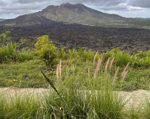صورة لـ Serenity Batur Villa Kintamani في كوبوبانلوكان