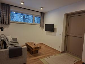 a living room with a couch and a tv at Appartement Etschbacher in Haus im Ennstal