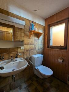 a bathroom with a toilet and a sink at Appartement-chalet à Verbier près des pistes in Verbier +35 photos