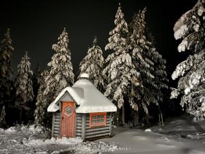 Villa Tykkylä Ruka - ski, nature & peace, sauna, fast wifi om vinteren