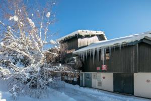 Le Roche Mantel - Appart 4p à Alpe d'Huez v zimě