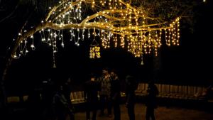 Επισκέπτες που μένουν στο The 9th planet "Ecoliving Cult"