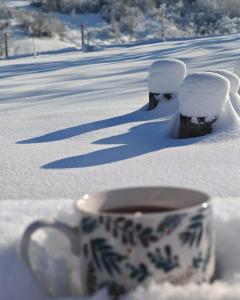 a cup of coffee sitting in the snow at Maramures Landscape in Moisei