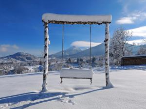a swing in the snow with mountains in the background at Maramures Landscape in Moisei