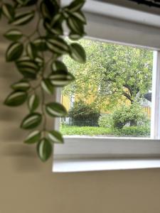 a close up of a window with a plant at Charming apartment with industrial design close to city center in Växjö