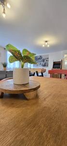 Fotografie z fotogalerie ubytování L'arcade Grand appart 10 pers-400m du sanctuaire 3 chambres 2 SDB arcade baby foot v destinaci Lurdy + 13 fotografií