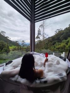 Příroda nedaleko kempu